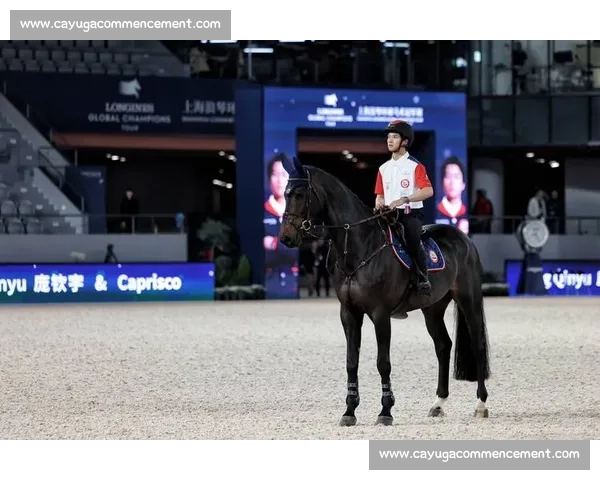 国内顶级马术赛事全景解析与竞技水平发展趋势