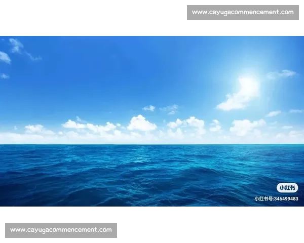 月光与海浪的较量谁主沉浮揭开自然界最美的对决序幕