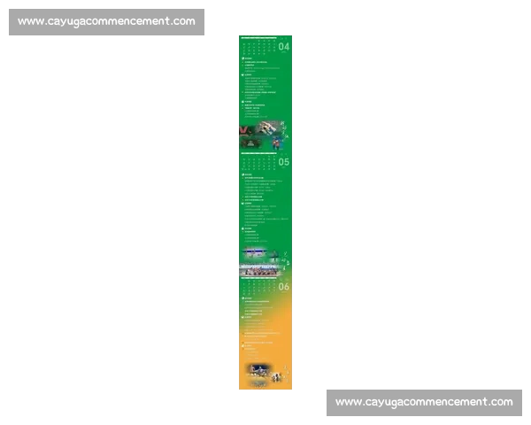 2026年度国内主要体育赛事时间表与赛程全解析