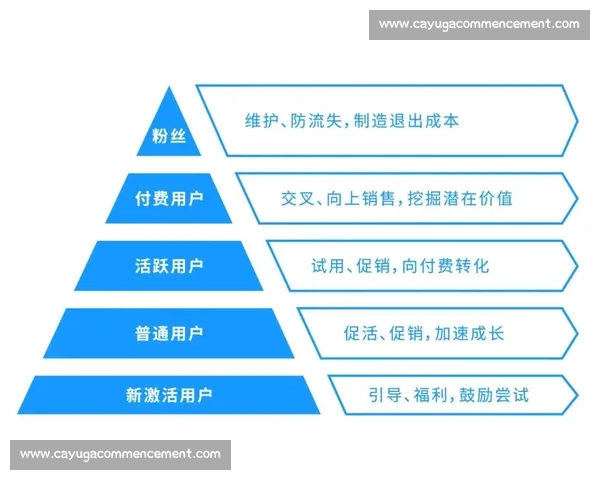 体育平台运营策略全面解析与用户增长实战指南