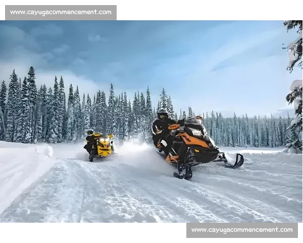 每天都是比赛日，挑战自我极限，追逐梦想的力量与坚持